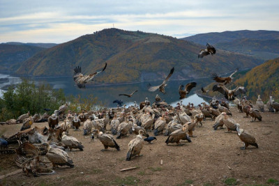 Хранилиште